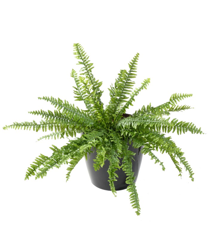 Kunstlik BOSTON FERN LUXURY