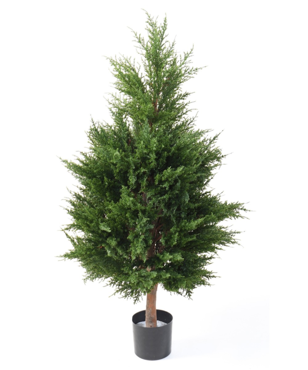 Kunstküpress Juniperus