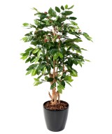 Artificial COFFEE TREE BLOSSOM GNARLED TRUNKS