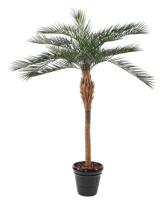 Kunst-datlipalm plast