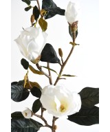 Artificial Magnolia