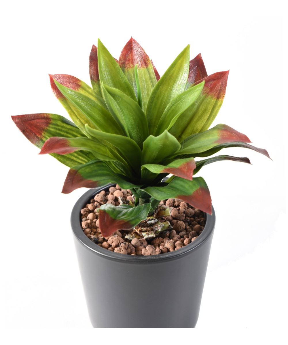 Artificial AGAVE 22