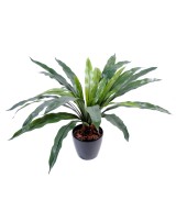 Artificial Asplenium trunk *30