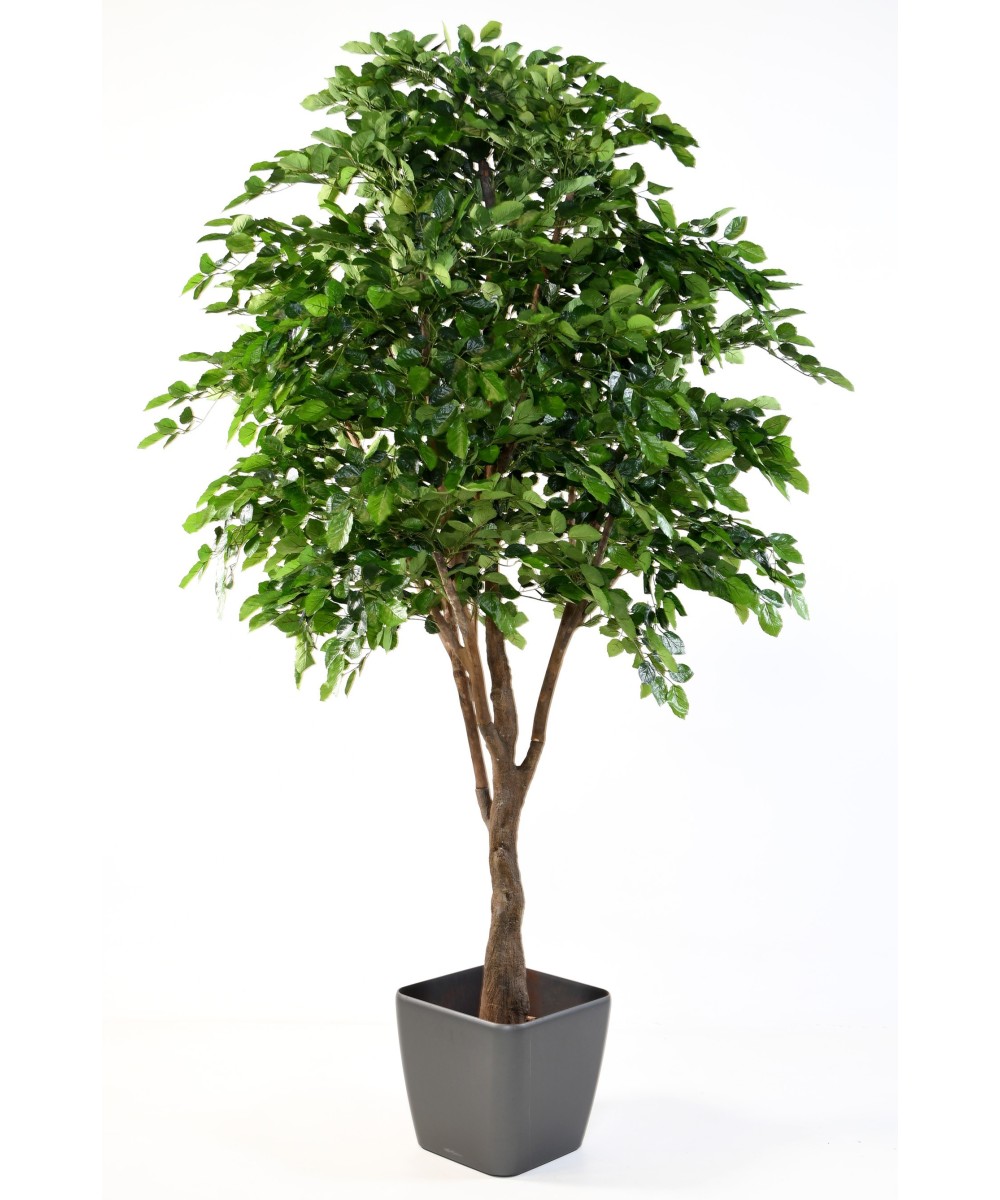 Artificial BEECH