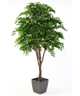 Artificial BEECH