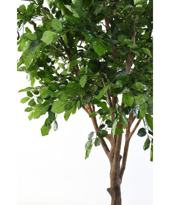 Artificial BEECH