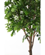 Artificial BEECH