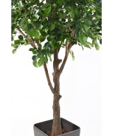 Artificial BEECH