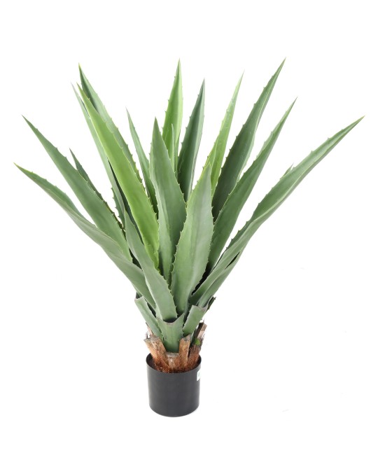 Kunstagaav (furcraea)