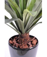 Kunstaspleenium tüvel, 30 lehte