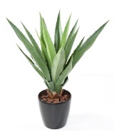 Artificial AGAVE FURCRAEA