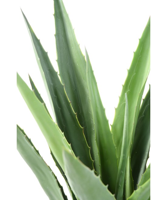 Artificial AGAVE FURCRAEA