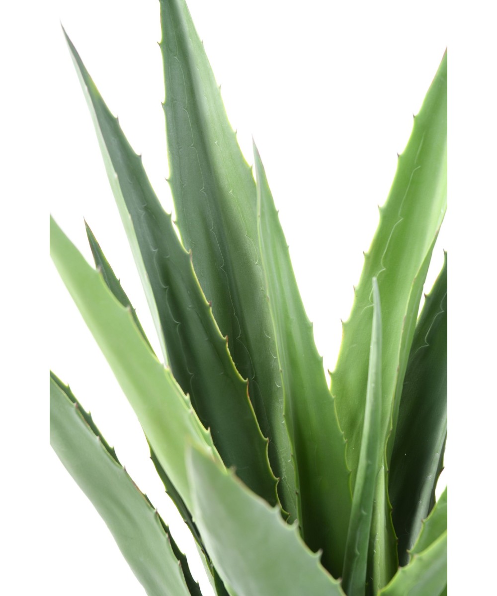 Artificial AGAVE FURCRAEA