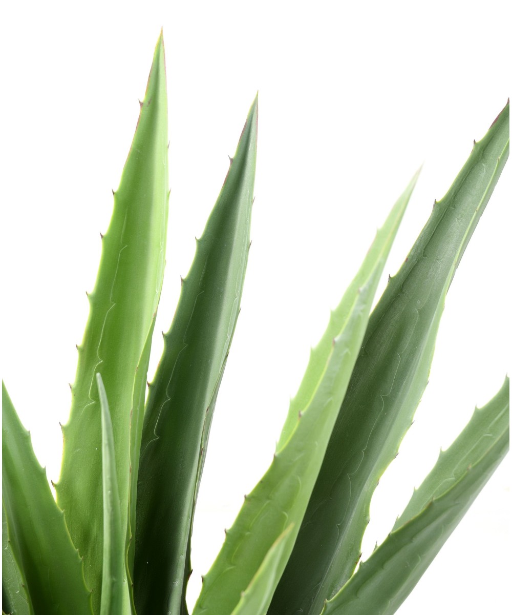 Artificial AGAVE FURCRAEA