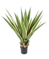 Artificial AGAVE FURCRAEA
