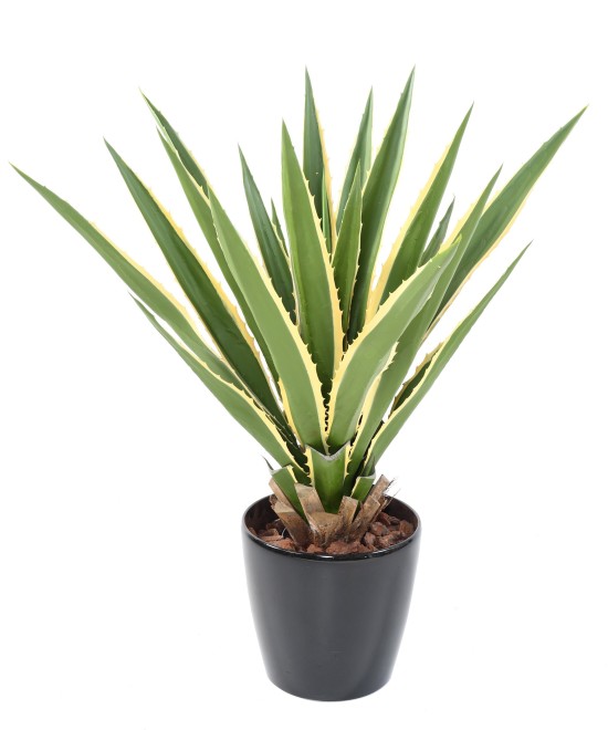 Artificial AGAVE FURCRAEA