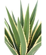 Artificial AGAVE FURCRAEA