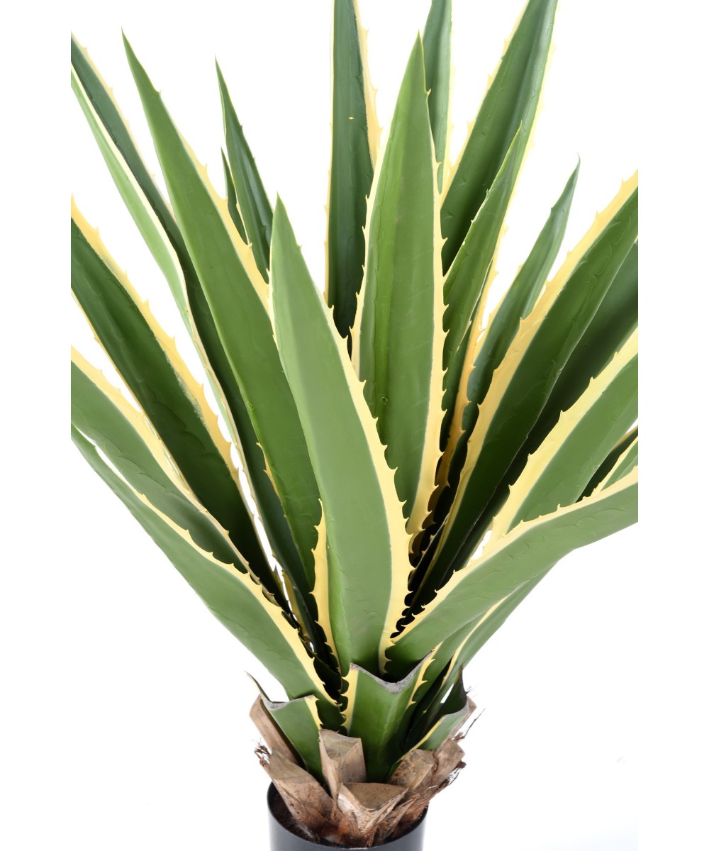 Artificial AGAVE FURCRAEA