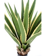 Artificial AGAVE FURCRAEA