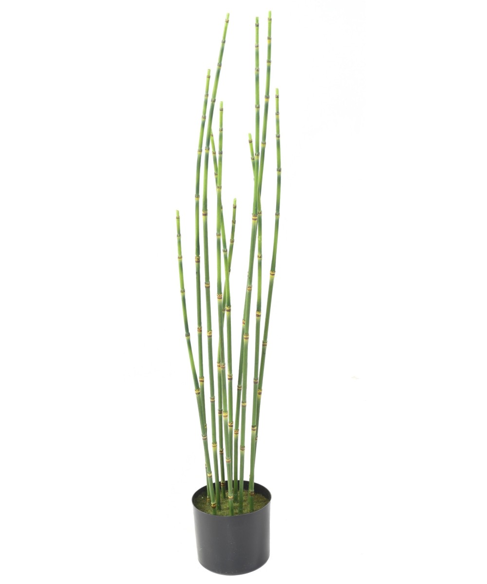 Artificial PRESLE (Horsetail)
