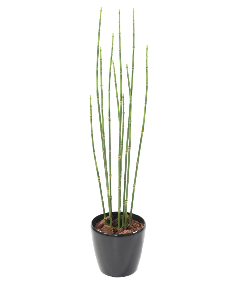 Artificial PRESLE (Horsetail)