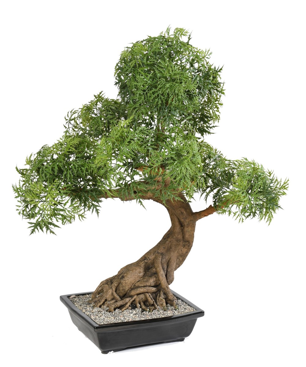 Kunstlik bonsai araalia kausis
