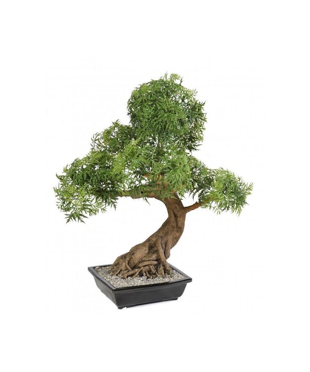 Kunstlik bonsai araalia kausis