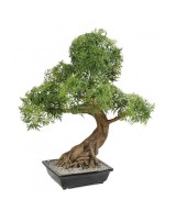 Kunstlik bonsai araalia kausis