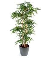Artificial bamboo NEW LARGE CANES