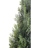 Artificial cypress (juniperus vj) MINI NEW