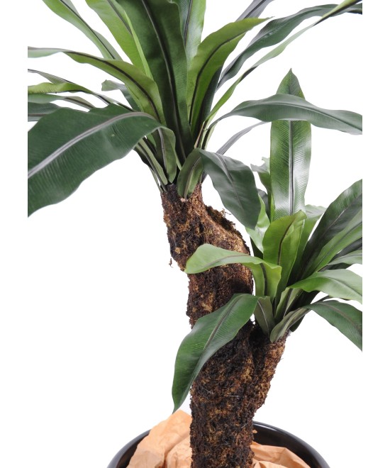 Kunstaspleenium tüvel, 2 haru