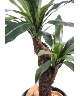 Artificial Asplenium trunk *2t