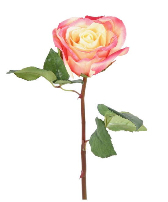 Artificial ROSE ESPERANZA