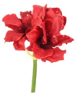 Kunstlik AMARYLLIS 2FL 1B