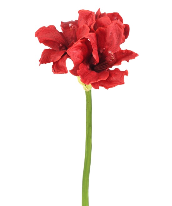 Kunstlik AMARYLLIS 2FL 1B