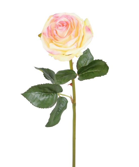 Artificial ROSE ESPERANZA
