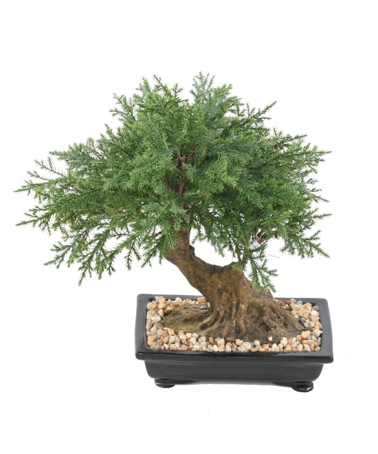 Kunstlik bonsai kadakas kausis