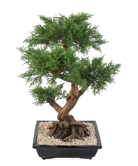 Artificial BONSAI JUNIPERUS IN BOWL
