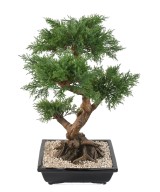Kunstlik bonsai kadakas kausis