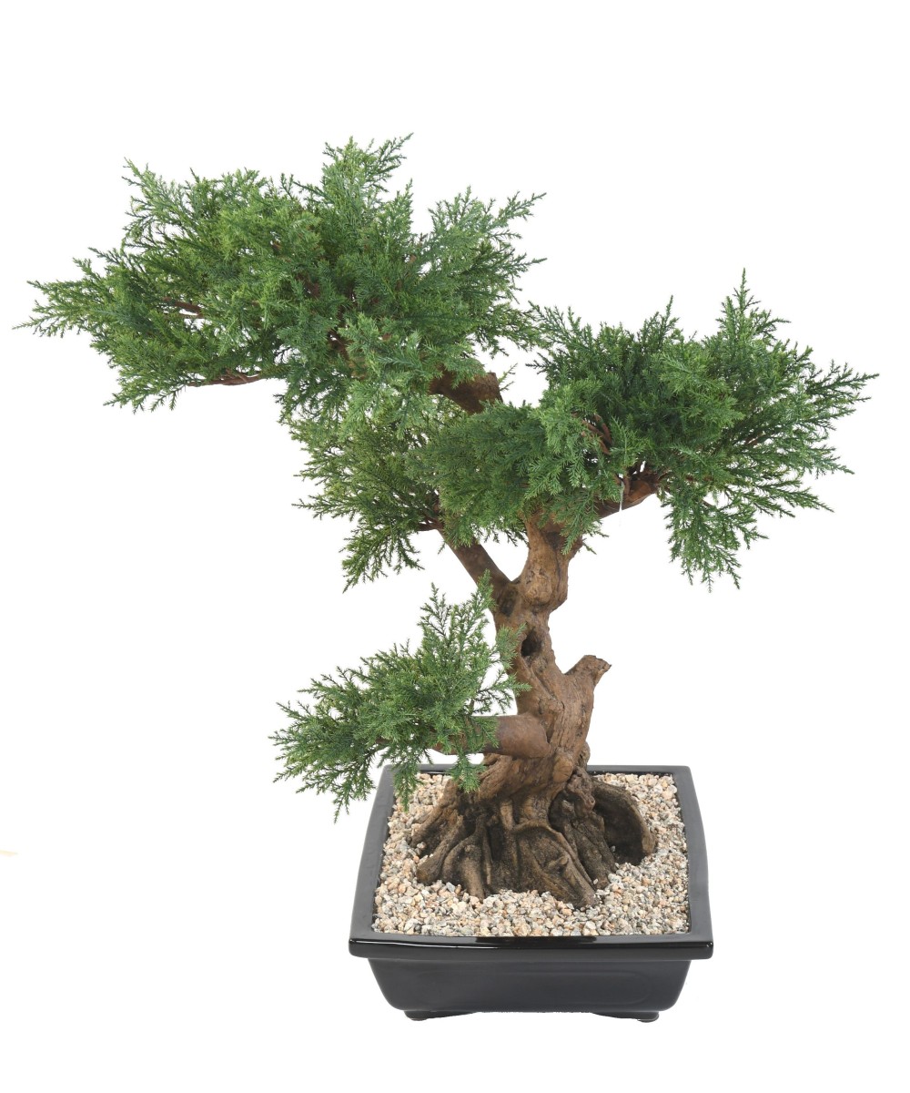 Kunstlik bonsai kadakas kausis