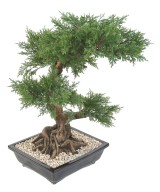 Kunstlik bonsai kadakas kausis