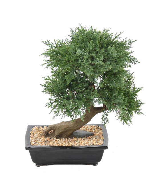 Artificial BONSAI JUNIPERUS IN BOWL