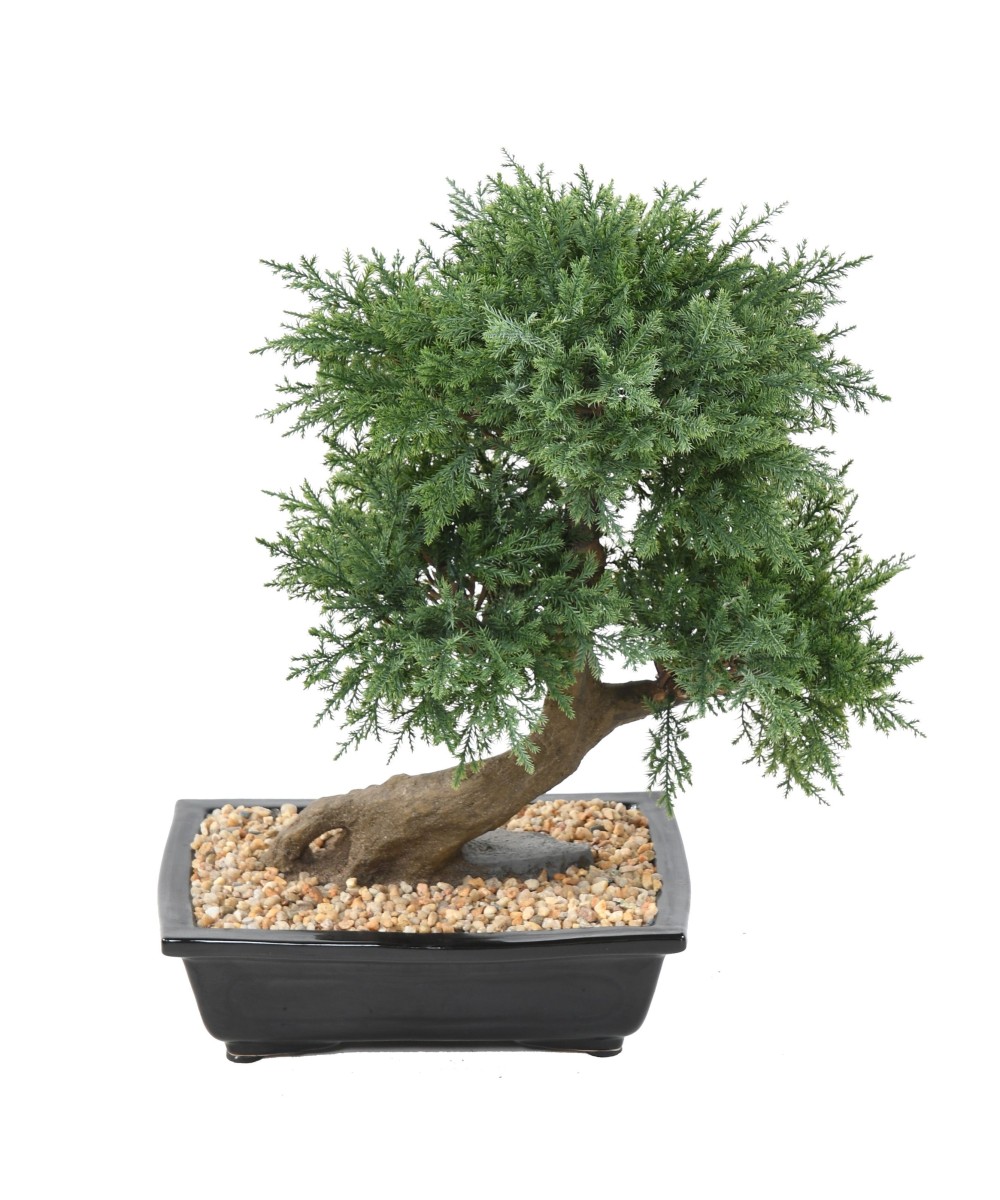 Kunstlik bonsai kadakas kausis