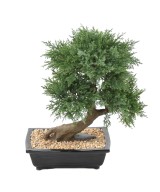 Artificial BONSAI JUNIPERUS IN BOWL