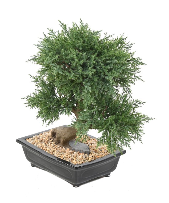Kunstlik bonsai kadakas kausis