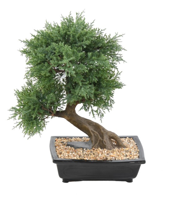 Kunstlik bonsai kadakas kausis
