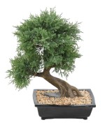 Artificial BONSAI JUNIPERUS IN BOWL