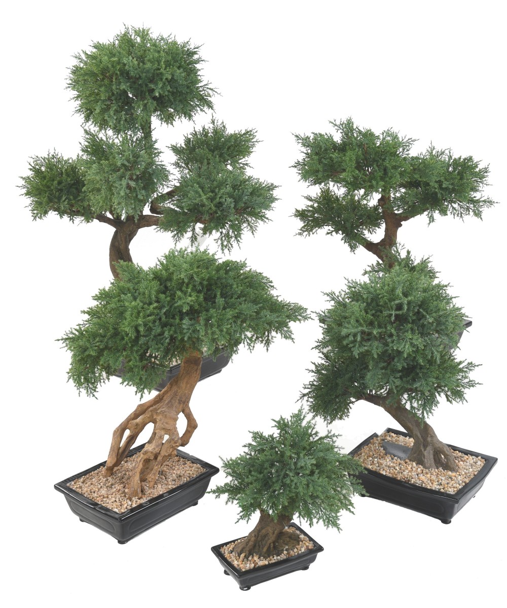 Kunstlik bonsai kadakas kausis