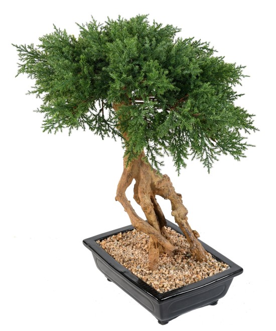 Artificial BONSAI JUNIPERUS IN BOWL
