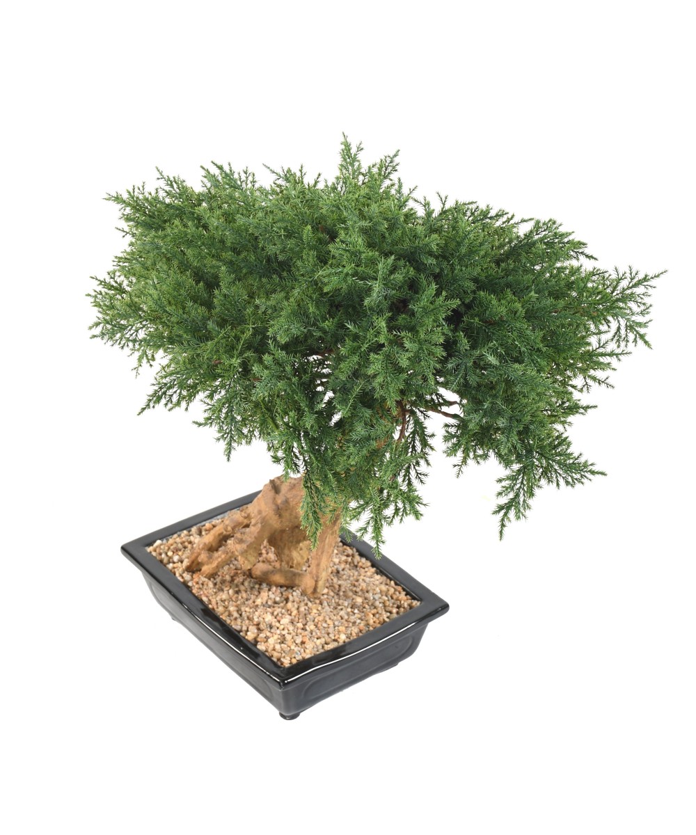 Artificial BONSAI JUNIPERUS IN BOWL